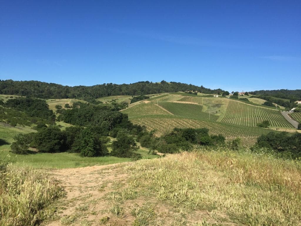 Scenic overlook
