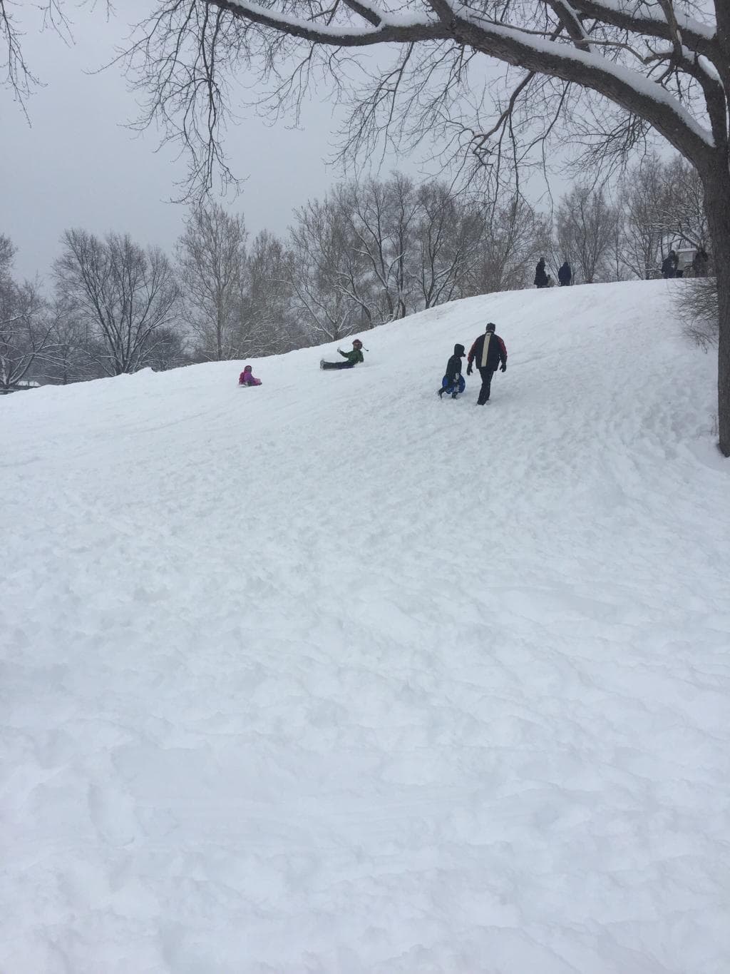The sledding hill at Centennial Park.