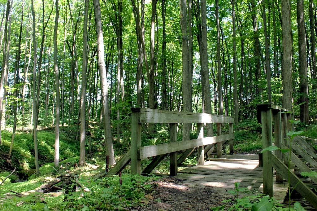 Trails at Glen Haffy