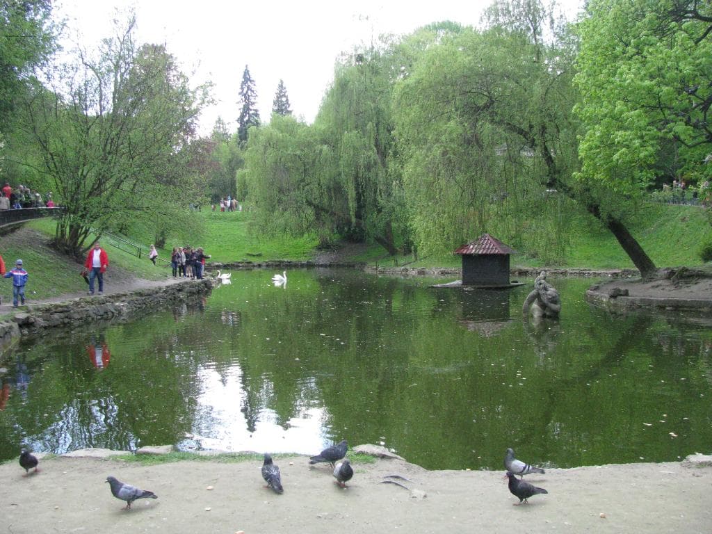 Озеро в Стрыйском парке