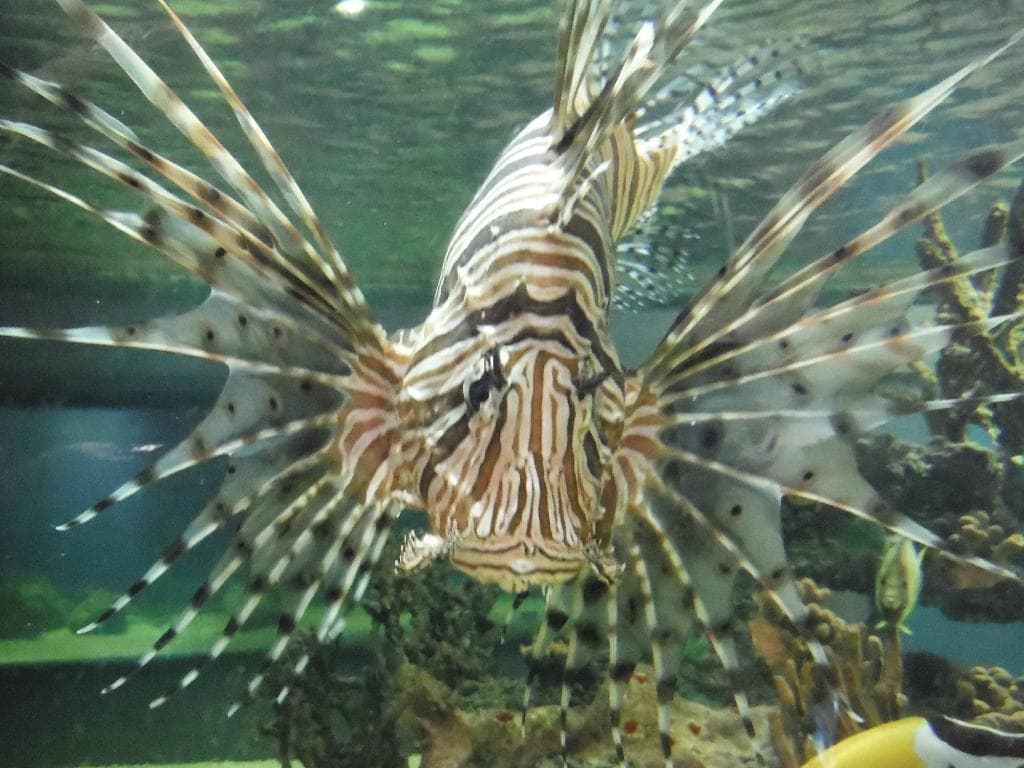So majestic!