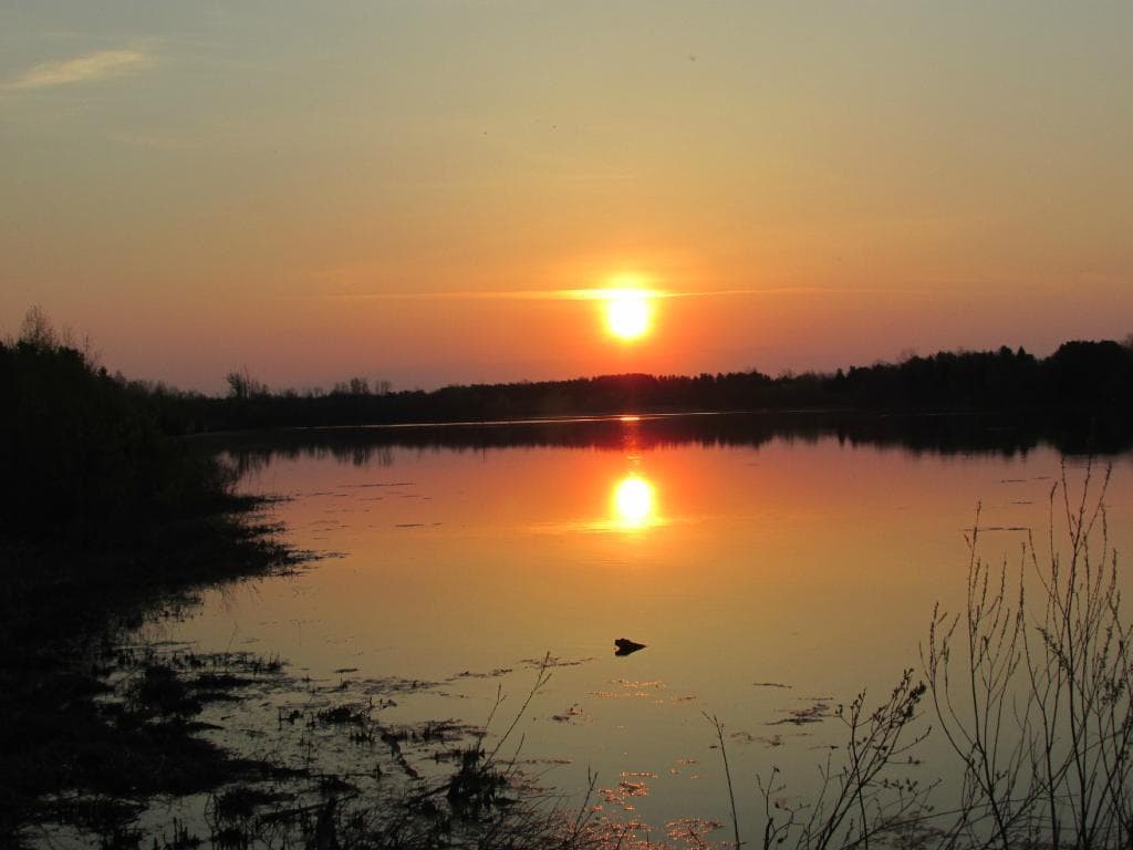 Sunrise