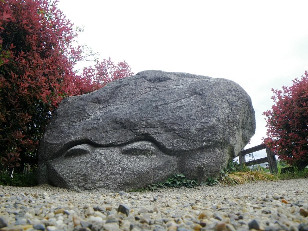2015.04　下から見るとのんびりとして愛嬌もある