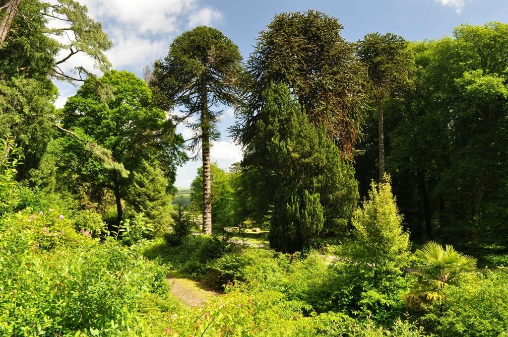 Woodstock Arboretum