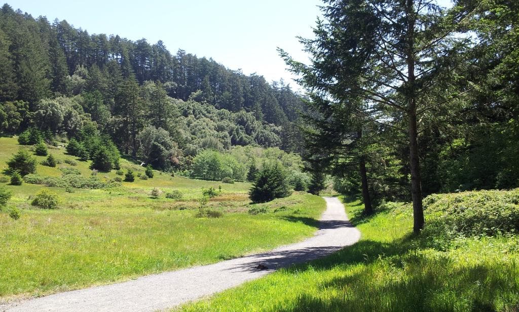 Trail