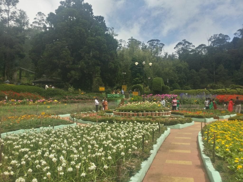 overview