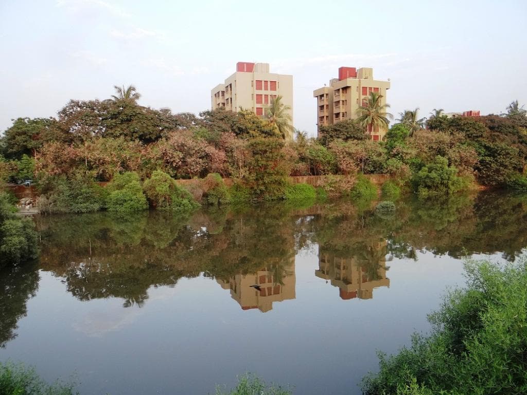 scenic beauty