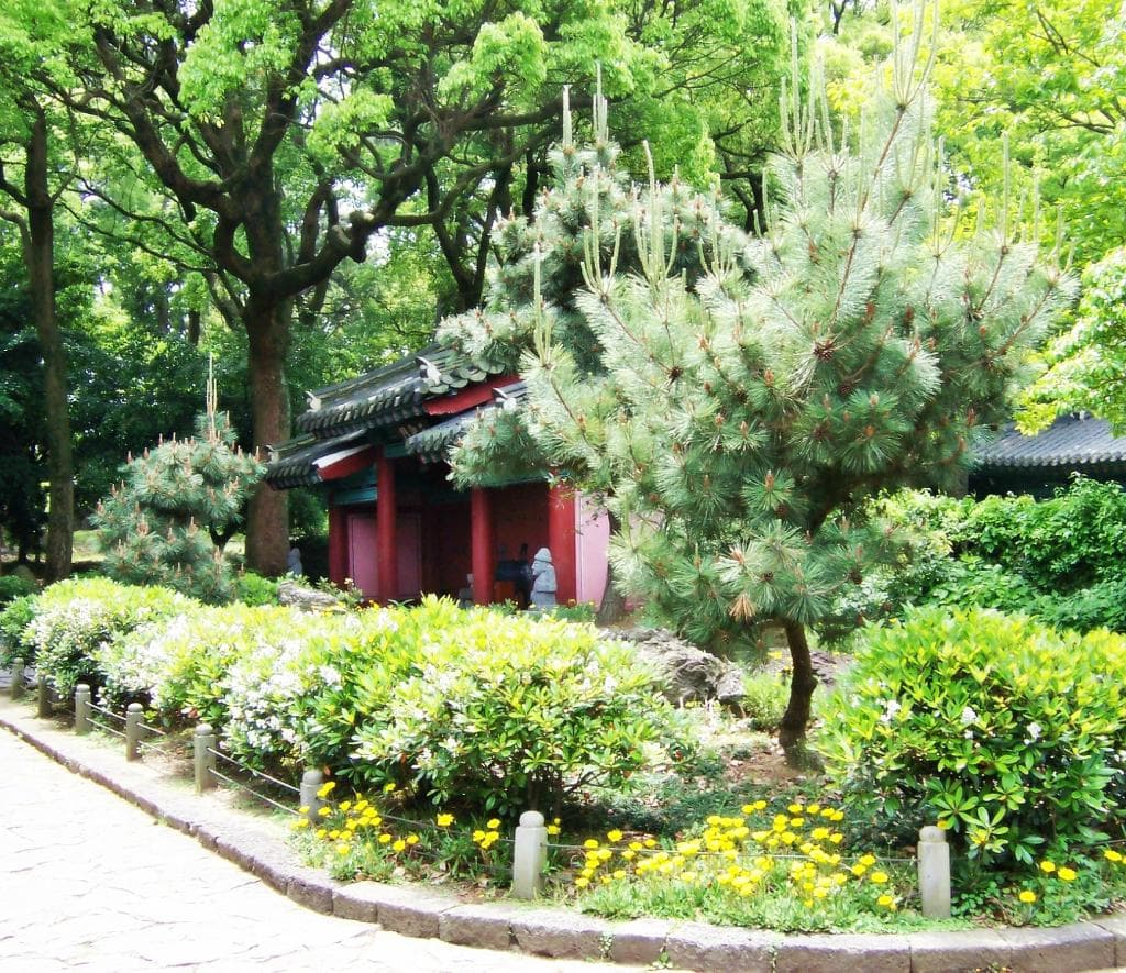 Beautiful trees and flowers make the shrine a peaceful escape from the city surrounding it