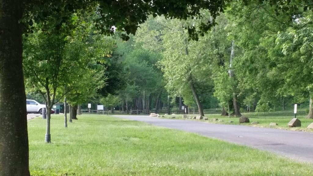 Old Mill Park