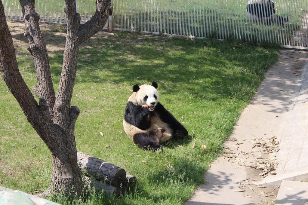 Taiyuan Zoo