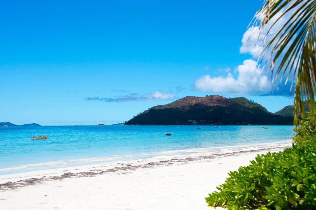 Анс Вольбер