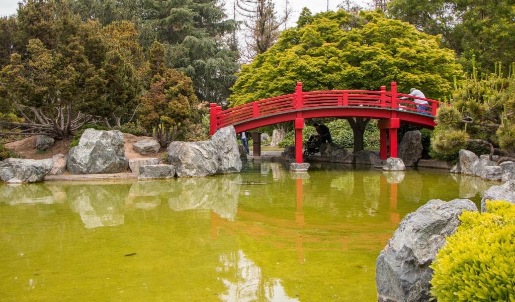 Japanese Friendship Garden with mostly grass and other nature without sand design