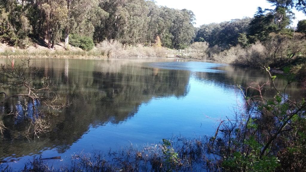 wheres my bass reel?