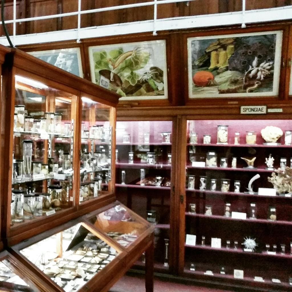 Zoology Museum
