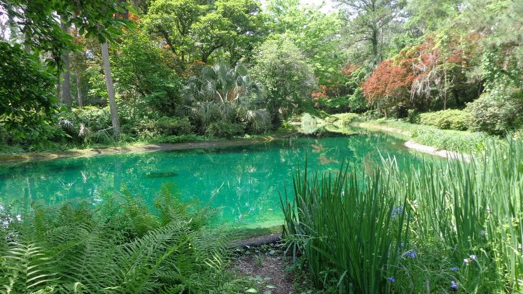 Alfred B. Maclay Gardens State Park