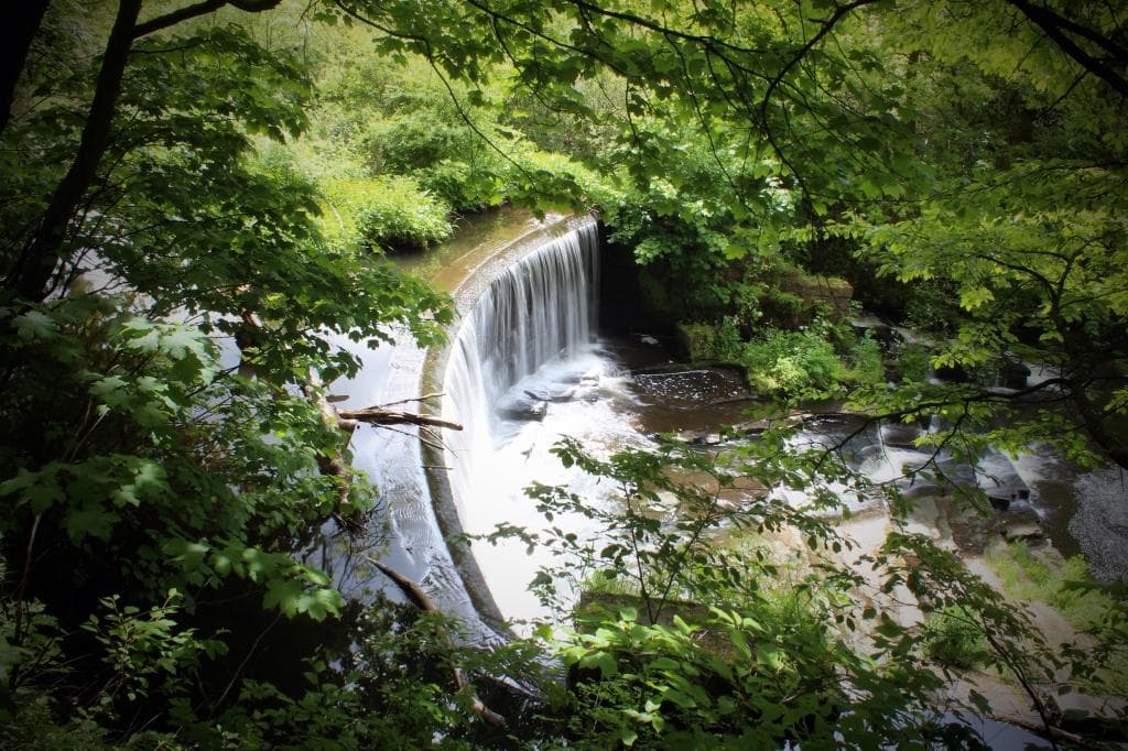 Lovely place for walking the dog