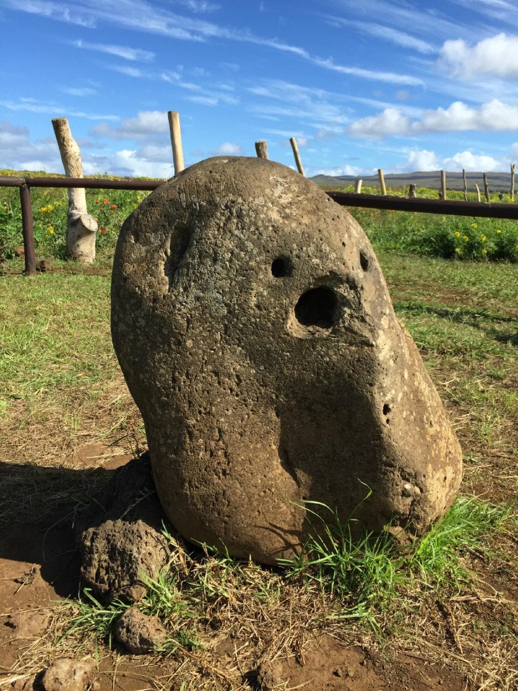 Um apito encantador de peixes.