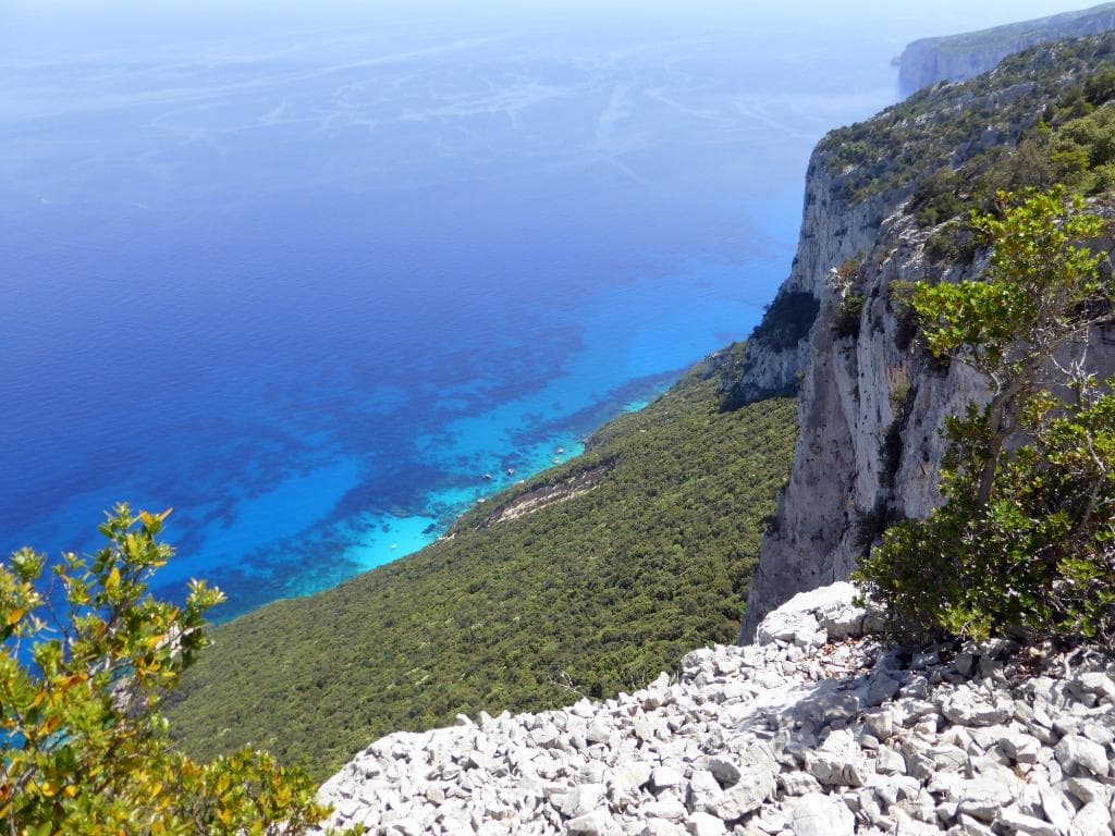 Selvaggio Blu
