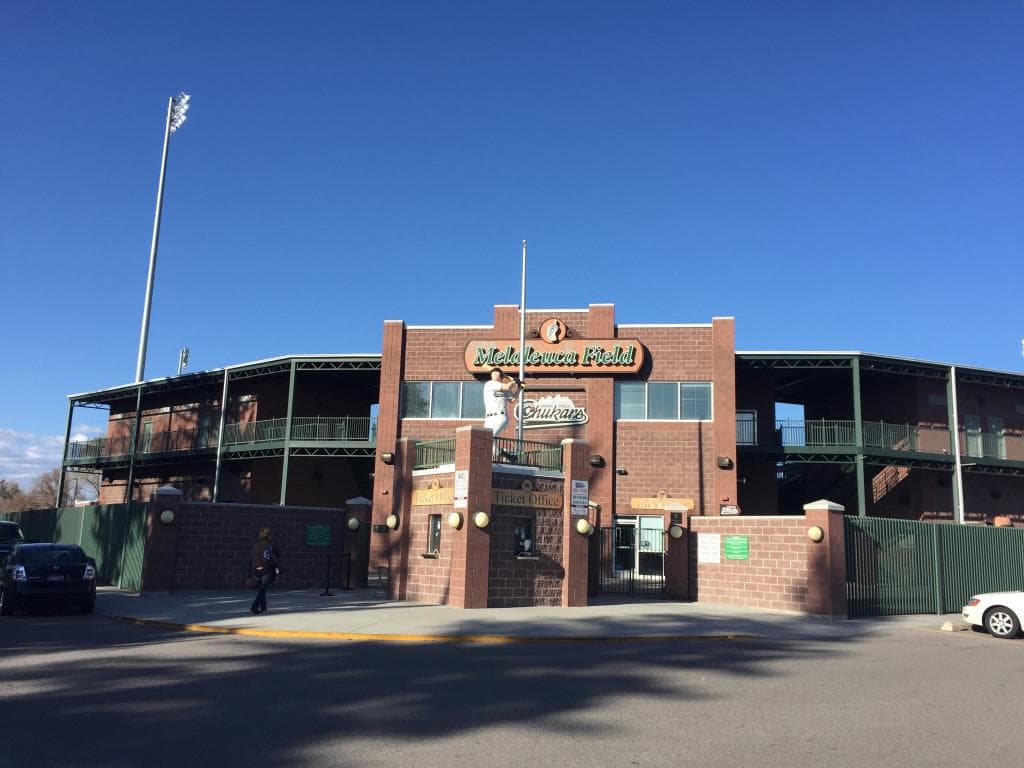 Melaleuca Field