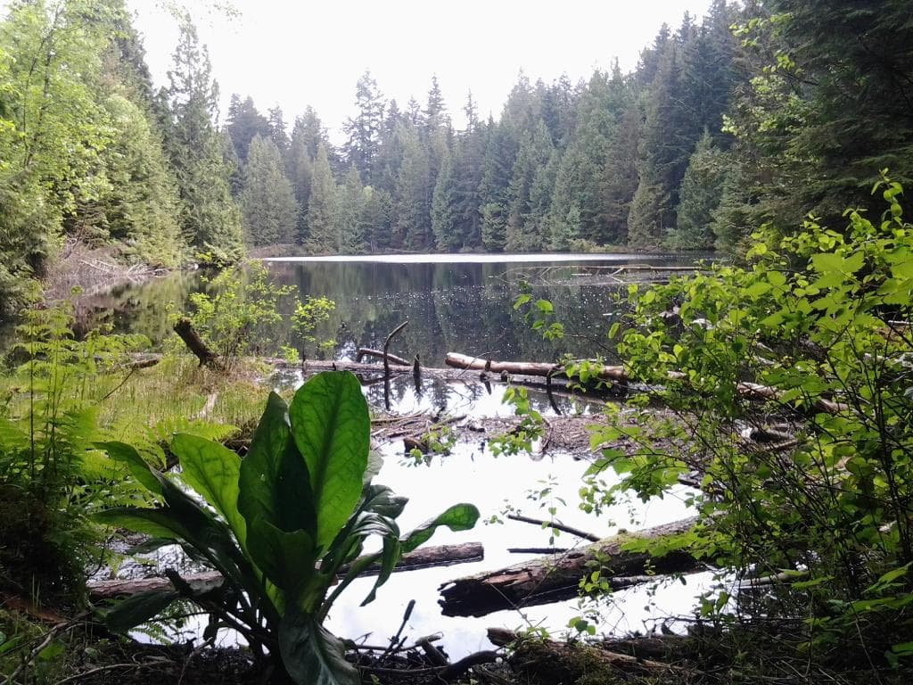 Mundy Lake