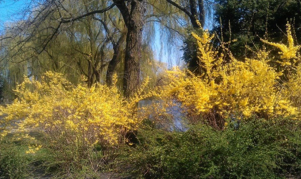 Orunski Park