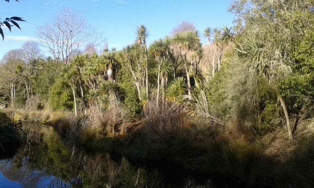 Centennial Park