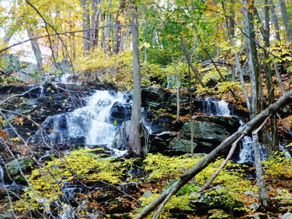 cascade after it rained