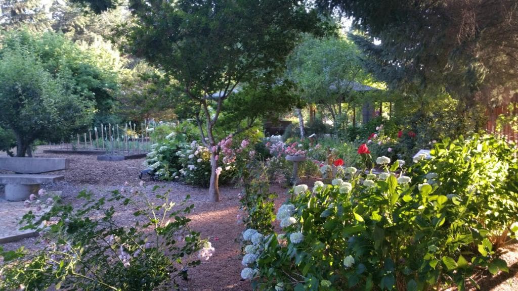Discovery Garden