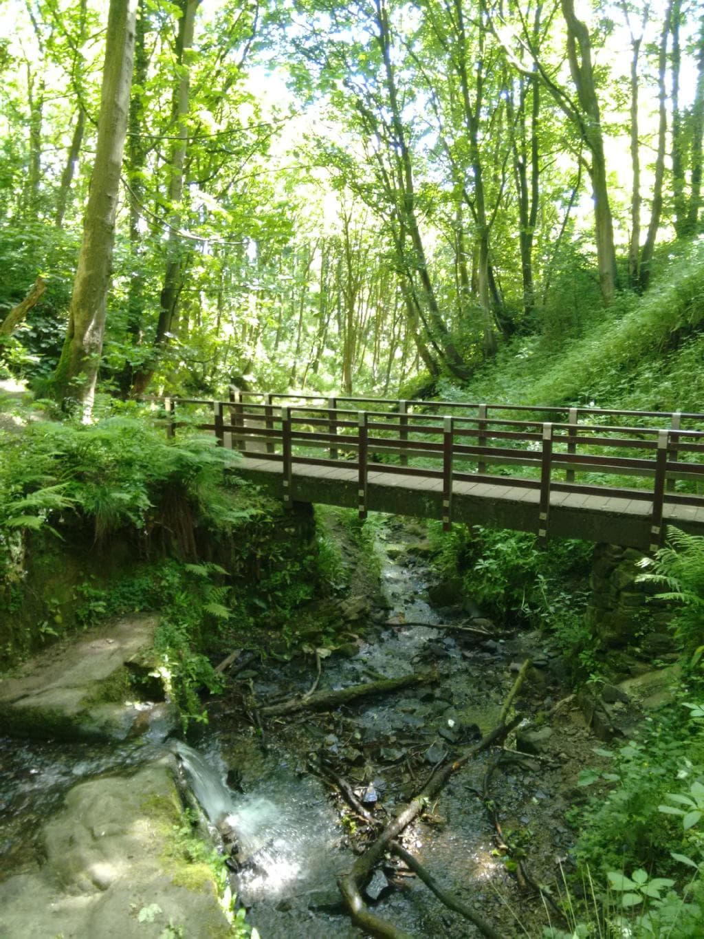 Magical walk