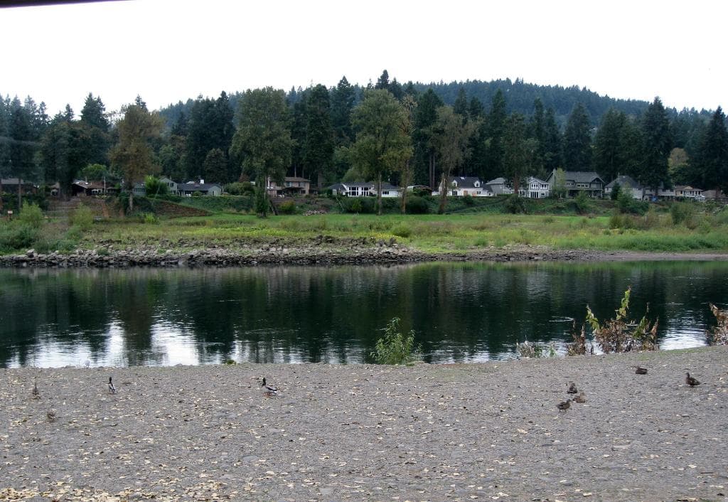 River, Clackamette City Park