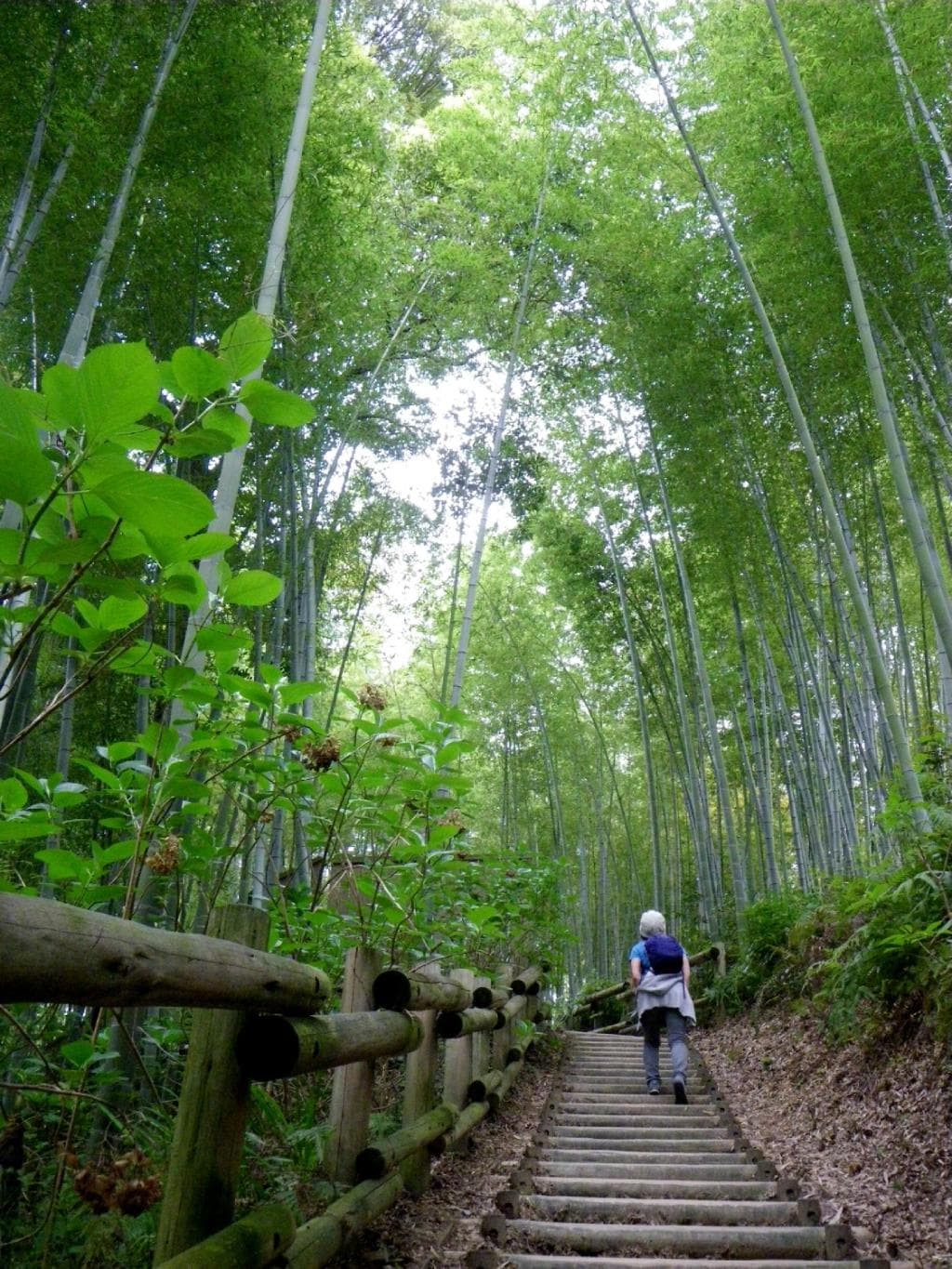 2015.04　酒船石まではちょっと上り