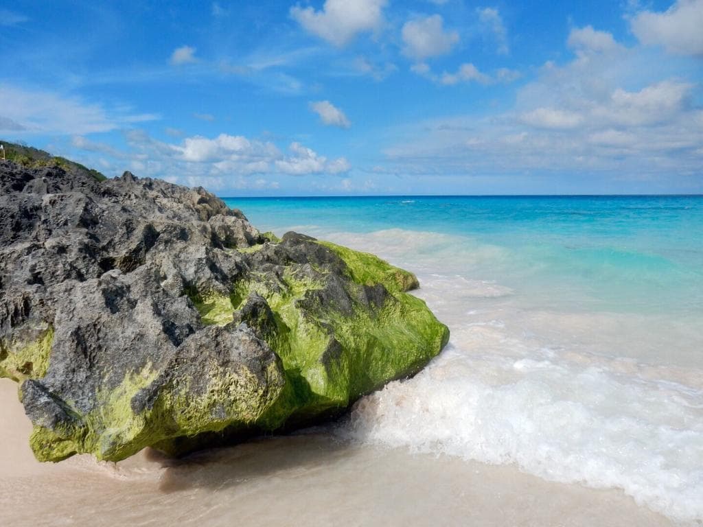 Elbow Beach