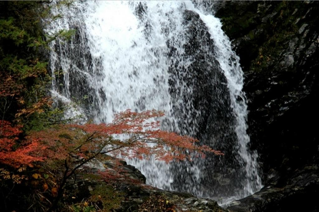 御手洗渓谷　紅葉