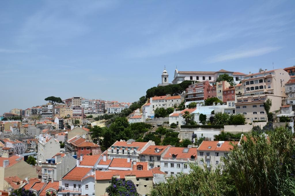 Хороший вид