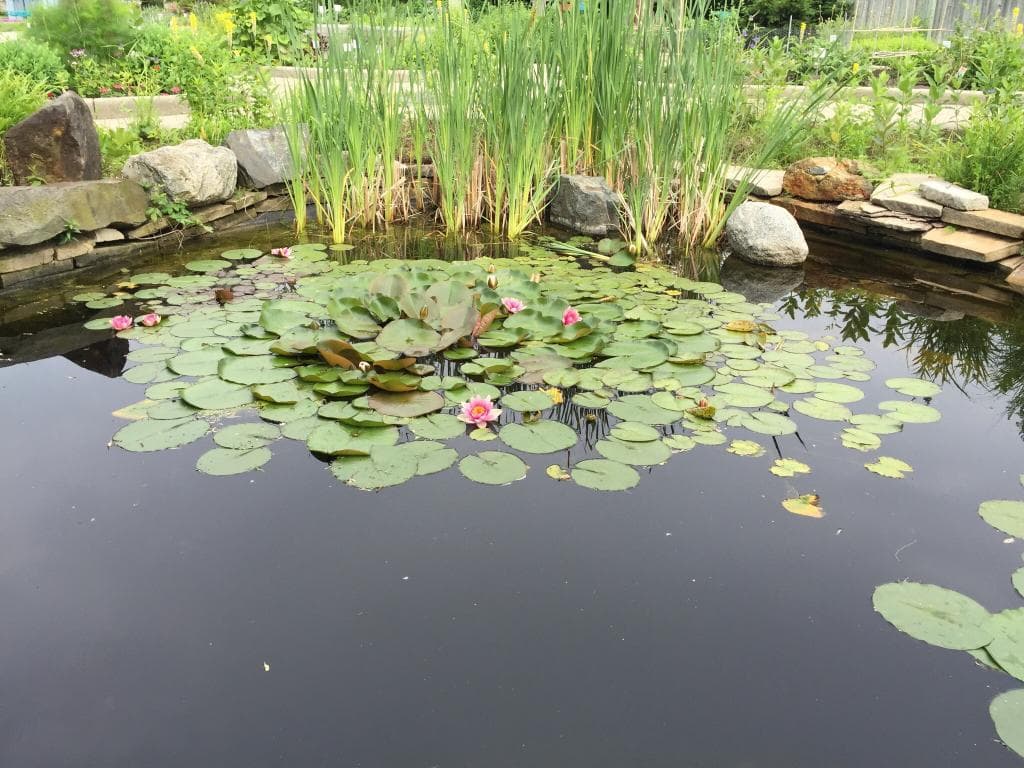 4-H Children's Garden Michigan State University