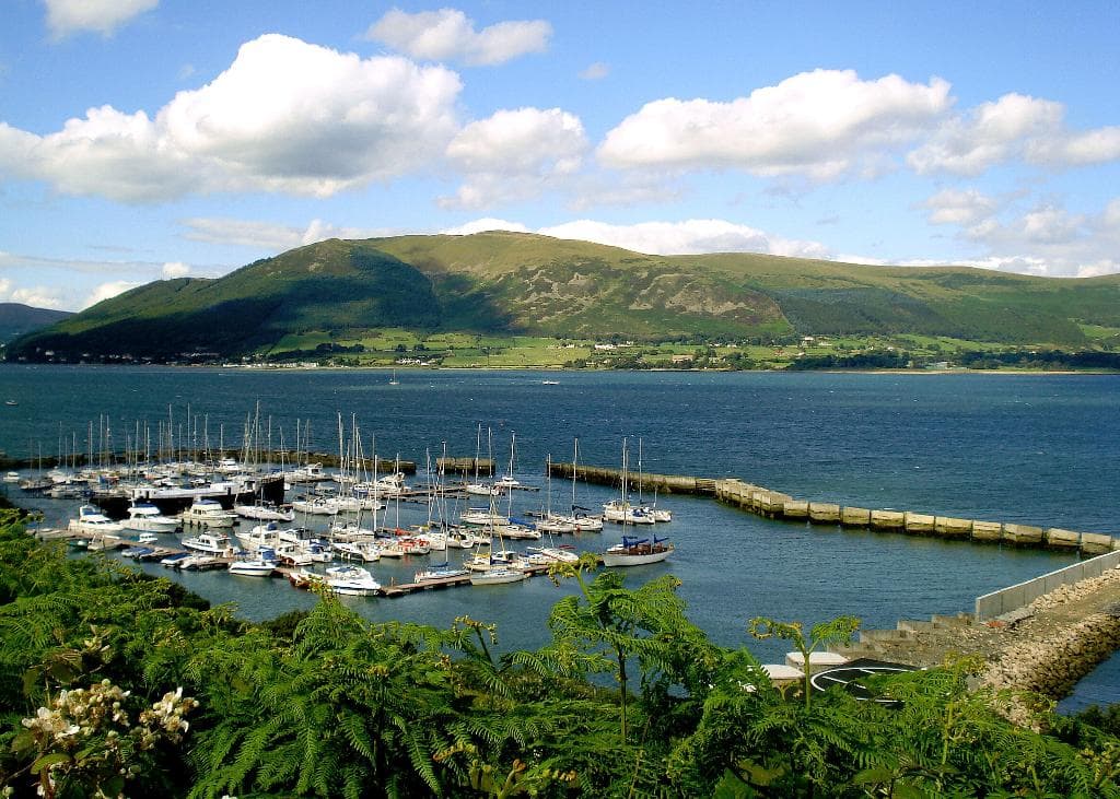 Looking over Carlingford Marina and Carlingford Lough from the Omeath Road.