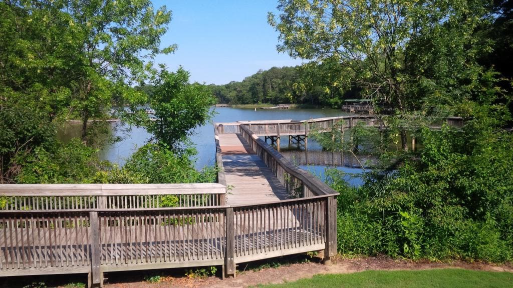 lake view