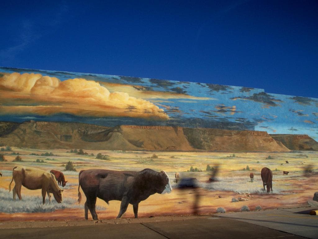 Mesa Country