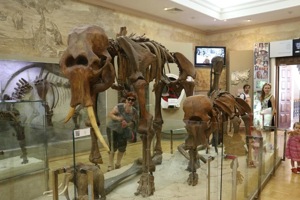 Tatarstan Museum of Natural History