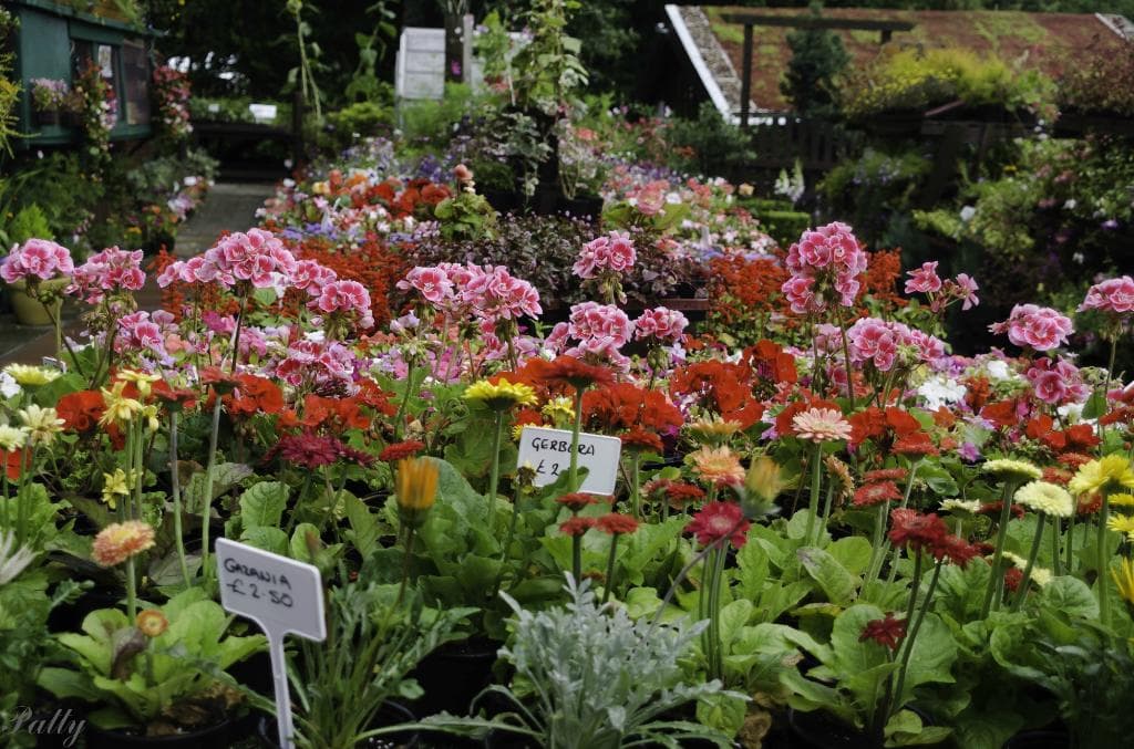 Heeley City Farm