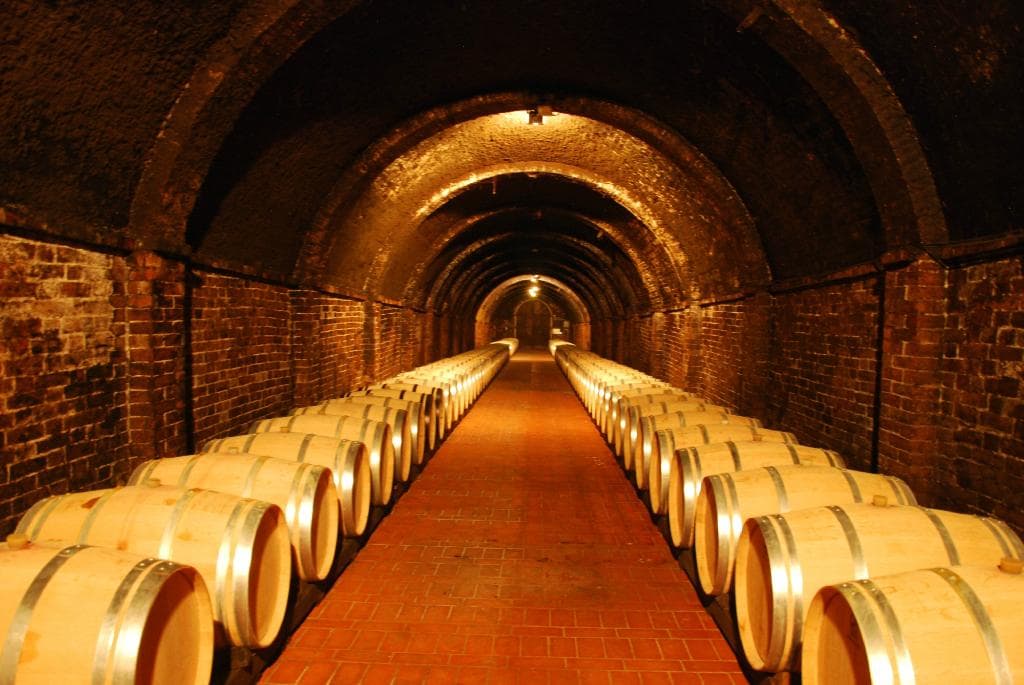 Loved the cave tour!