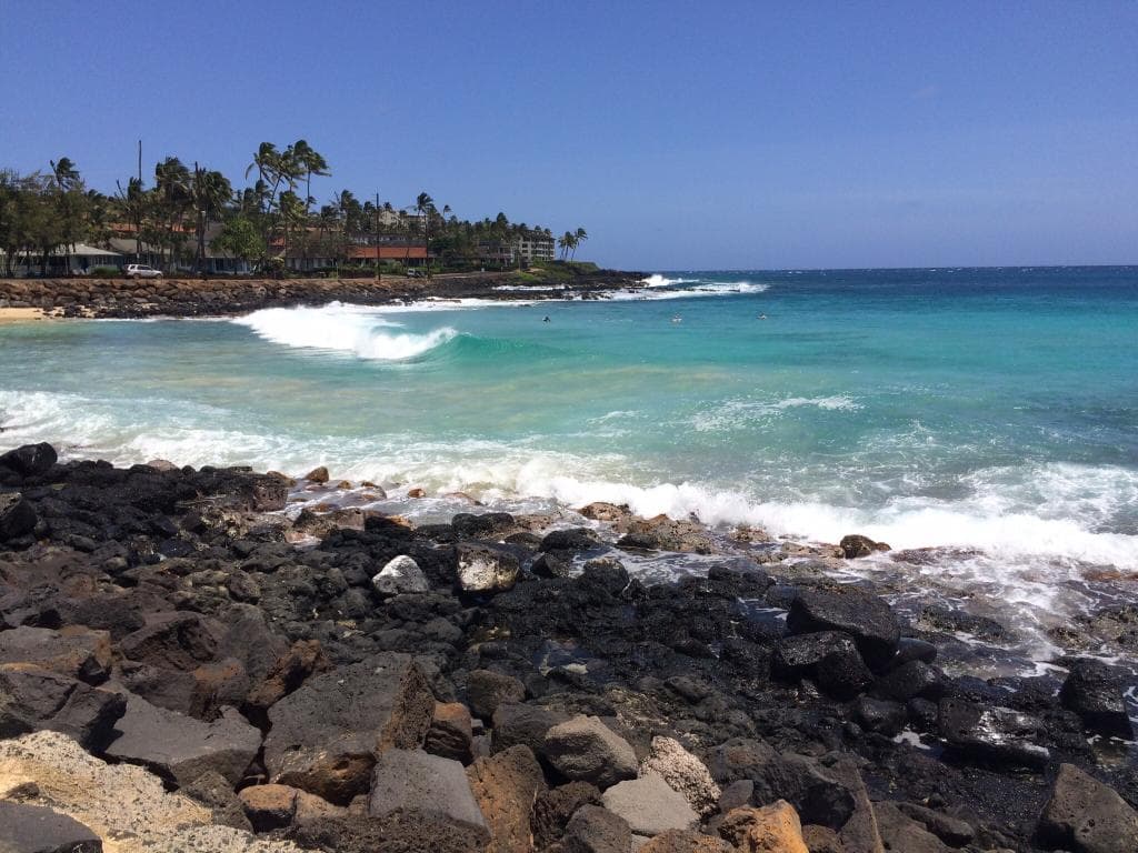 Big-surf day!