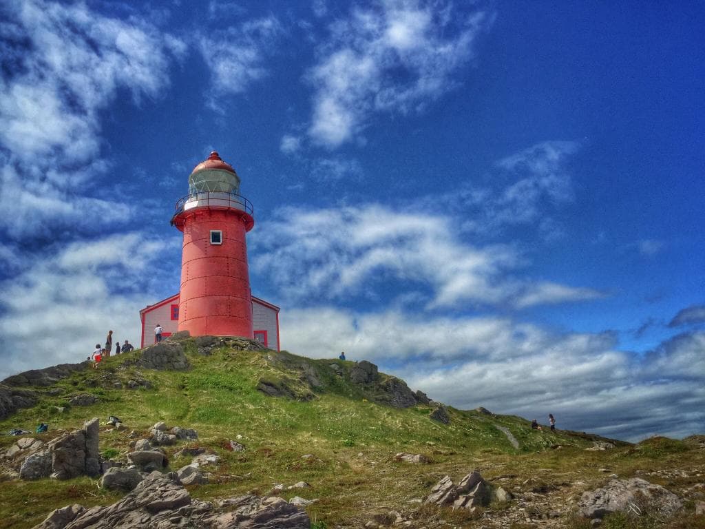 Environnement extraordinaire et pique-nique savoureux au bout du Canada, avec mes baleines à nos