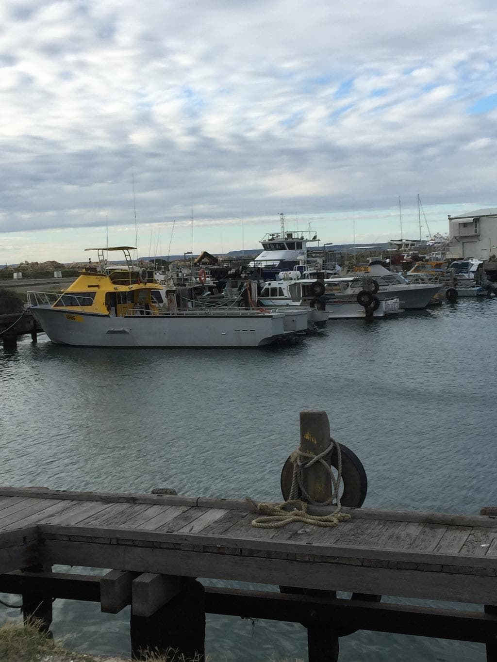 Harbour