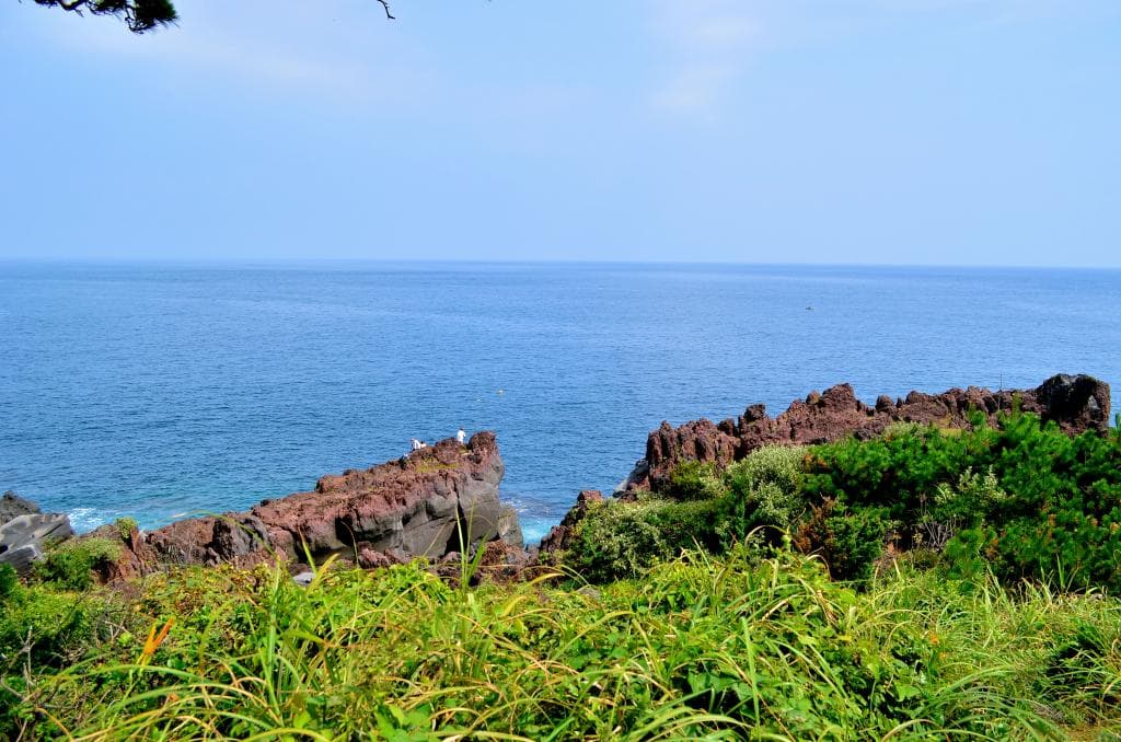 海岸の風景