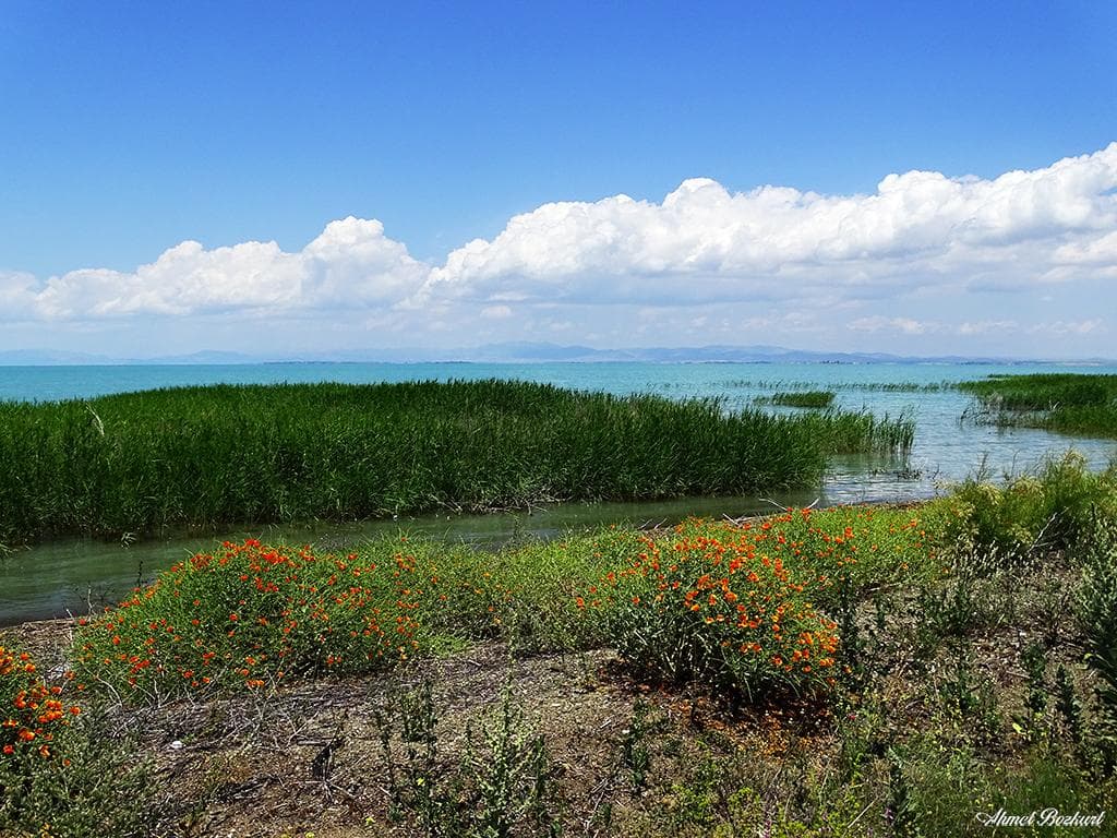 Beyşehir Gölü