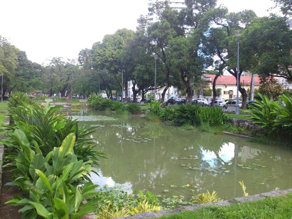 As vitória-régias
