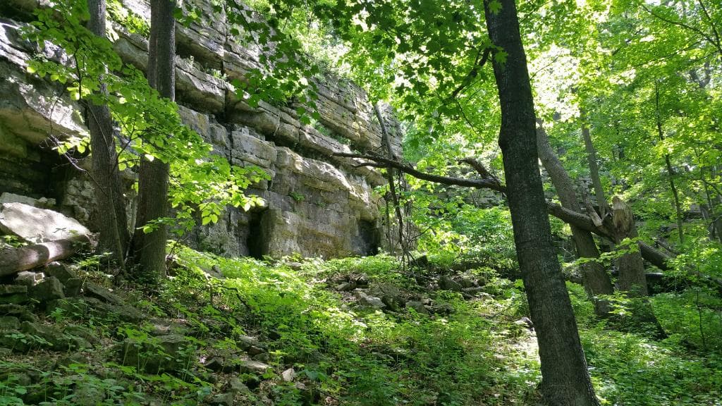 Looking from the bottom of the Lime Kiln Trail