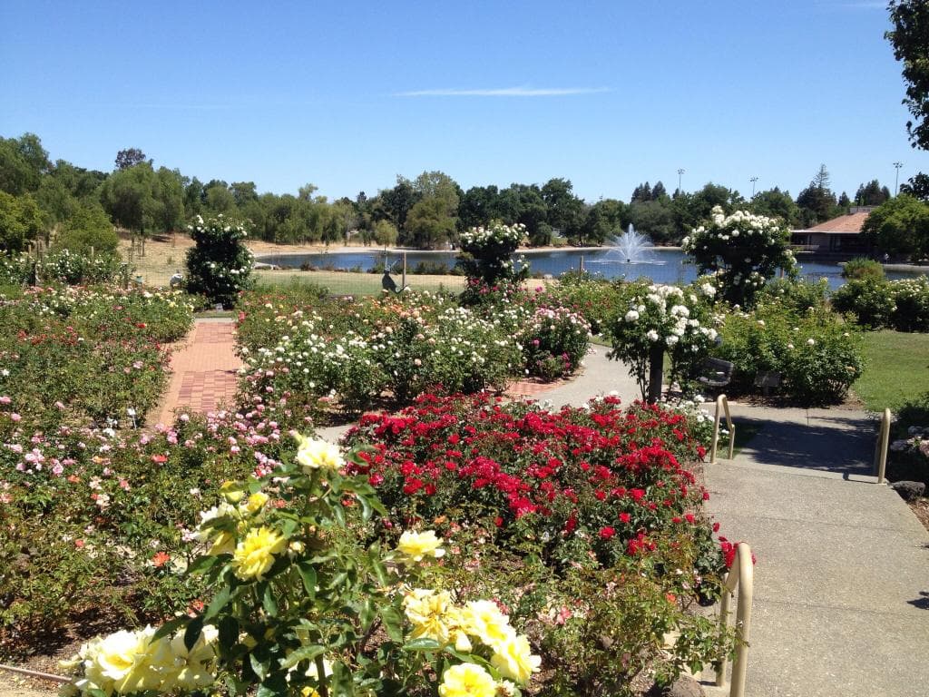 Gardens at Heather Farm