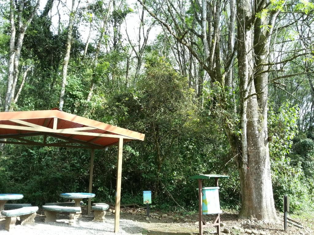 Zona de Pic-nic